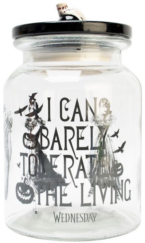 Mercredi, je Can à peine la Living - Bocal de rangement Boîte de rangement multicolore