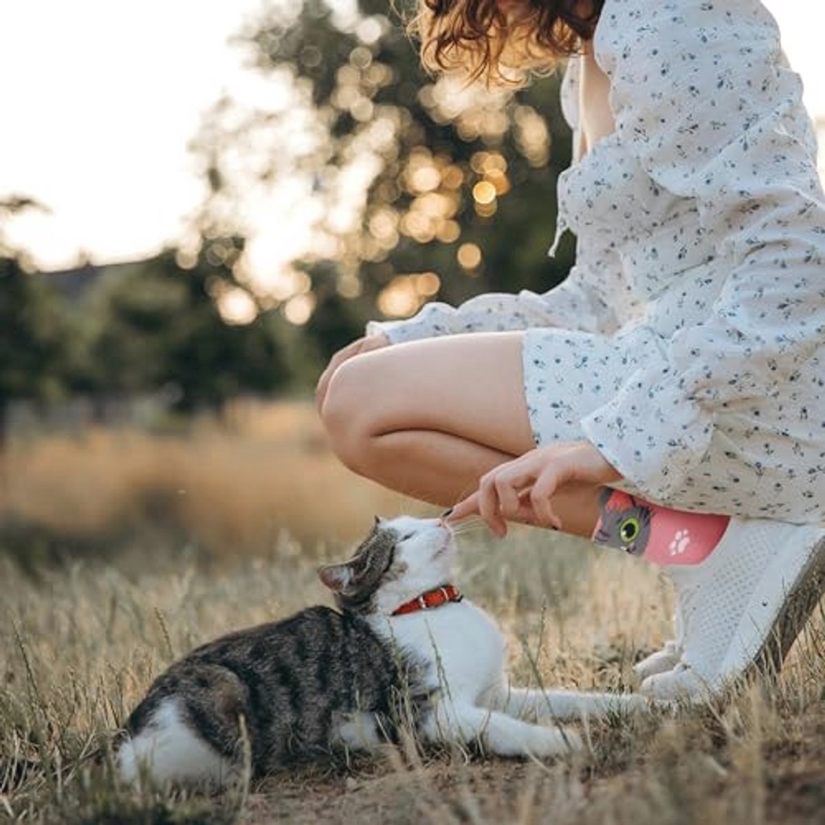 Grappige Sokken voor Kattenliefhebbers - Veelkleurige Dierenthema Geschenken voor Vrouwen