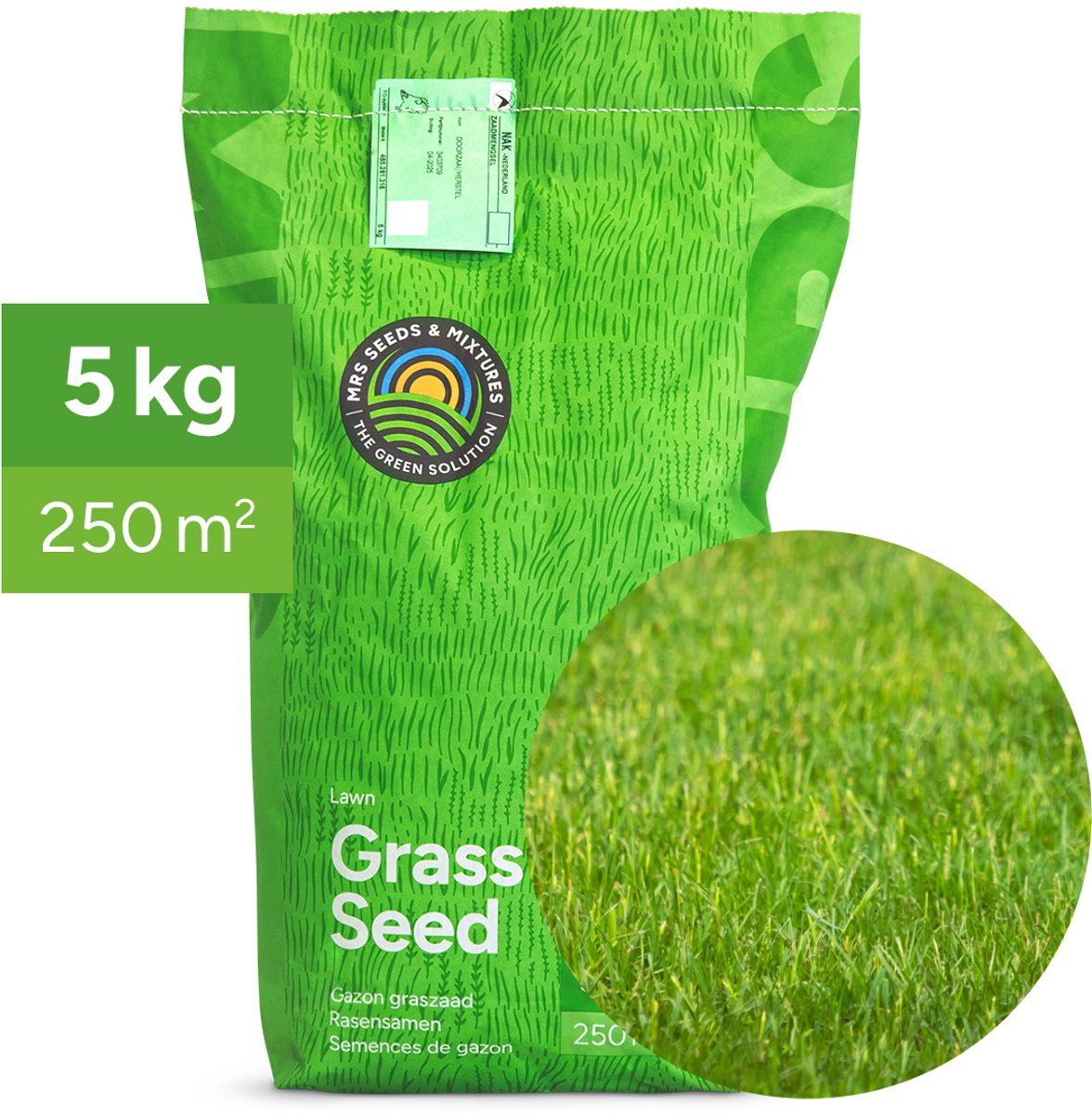 Allround: Graszaad Universeel Recreatiegazon - 5 kg voor 250 m² - Vlotte kieming en vestiging - Diepe en sterke beworteling - Bestand tegen schaduw en droogte