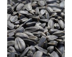 Zwarte zonnebloempitten 20kg, vogelvoer, zonnebloempitten voor vogels