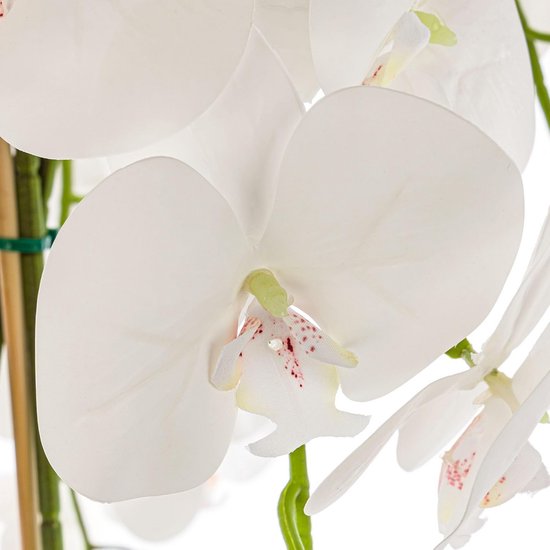 Künstliches Phalaenopsis-Arrangement, weiß, Höhe 110 cm Pflanzen-Kölle