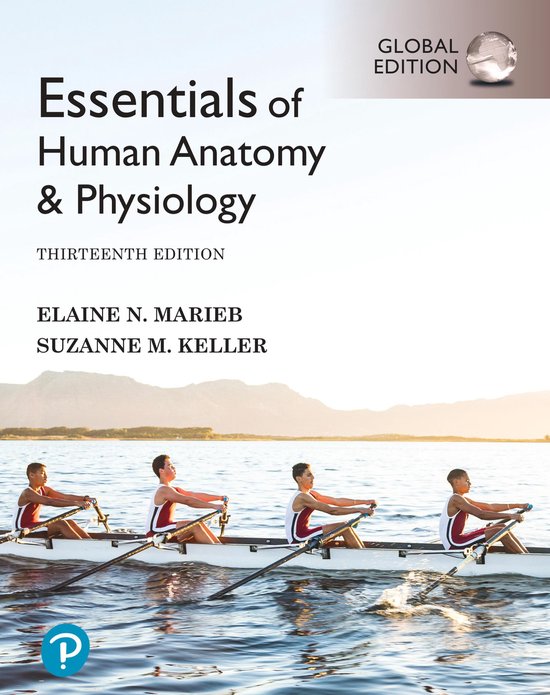 Essentials of Human Anatomy & Physiology, Global Edition - cover