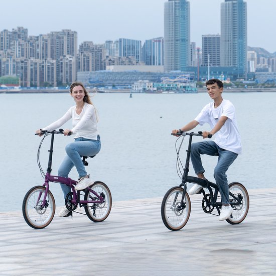 RCB GK4 Opvouwbare 20 inch Fiets voor Tieners - 21 Versnellingen - Licht Aluminium Frame - Grijs van RCB — afbeelding 2