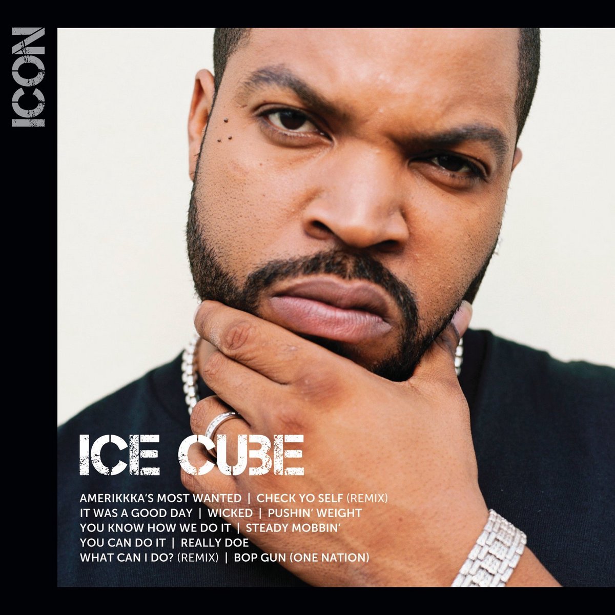 Ice Cube - ijsblokjes 0.15 kg