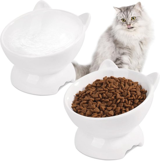 Top 10 beste grote kattenbakken van 2024 | Onze 10 reviews
