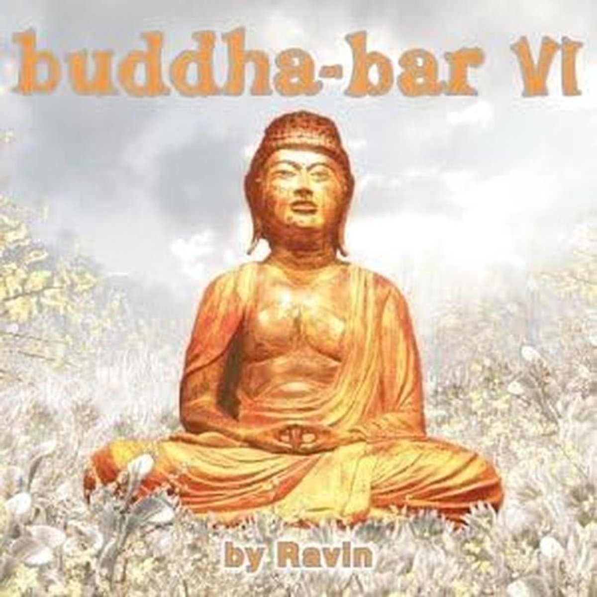 Relaxte Chillout Muziek CD - Lounge & World Beats