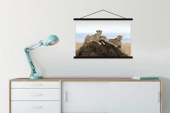 Trois guépards sur une affiche textielposter colline belvédère 90x60 cm