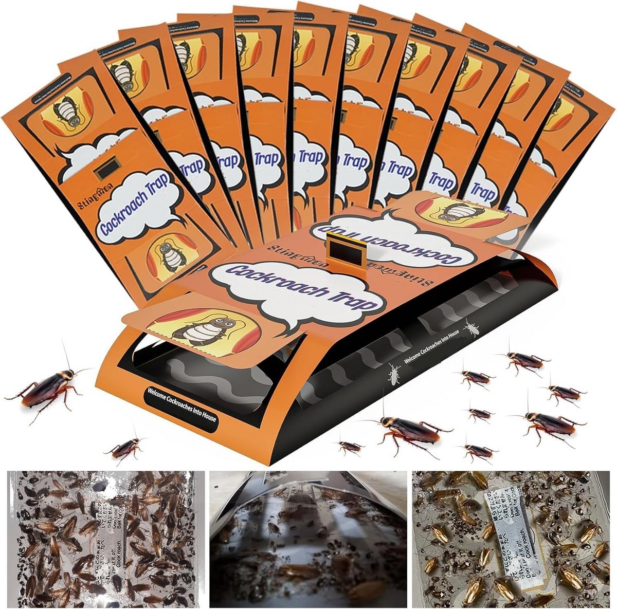 24 Stuks Plakvallen voor K cockroaches - Effectieve Insectenbestrijding voor Thuis
