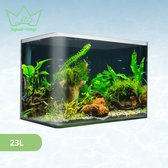 AquaKonings – Aquarium – Aquarium met afgeronde hoeken - Aquariumkit 40x23x25 23L