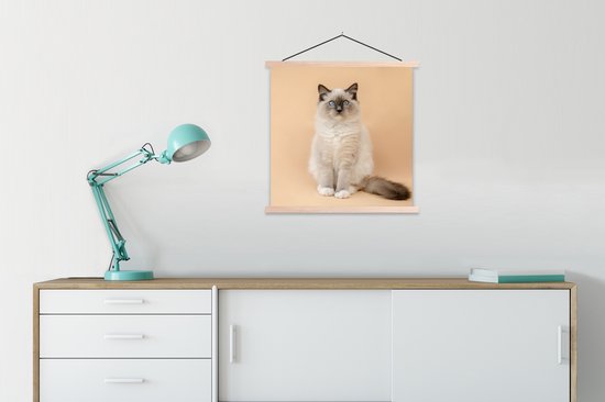 Porte-affiche avec affiche 90x90 cm - Affiche scolaire - Chat - Siamois - Portrait - Filles - Enfants - Garçons - Kids - Affiche textile - Lattes vierges