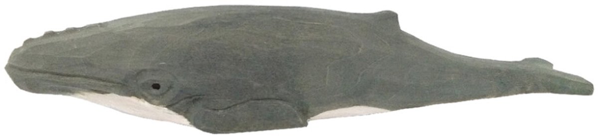 Wudimals Bultrug Walvis 40823