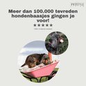 Twee honden in een kruiwagen, met een close-up van een hond met een botje.