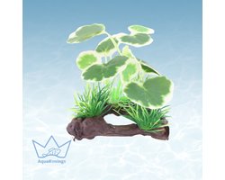 AquaKonings - Aquarium decoratie - Aquarium kunst planten - Nepplanten - Kunstplant - Plant op stronk - Wit - 13x10x10