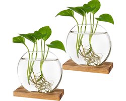 2-Pack Glazen Propagatie Station – Ronde Planter met Houten Stand voor Hydrocultuur Planten – Decoratief Terrarium voor Thuis & Kantoor (Bruin)