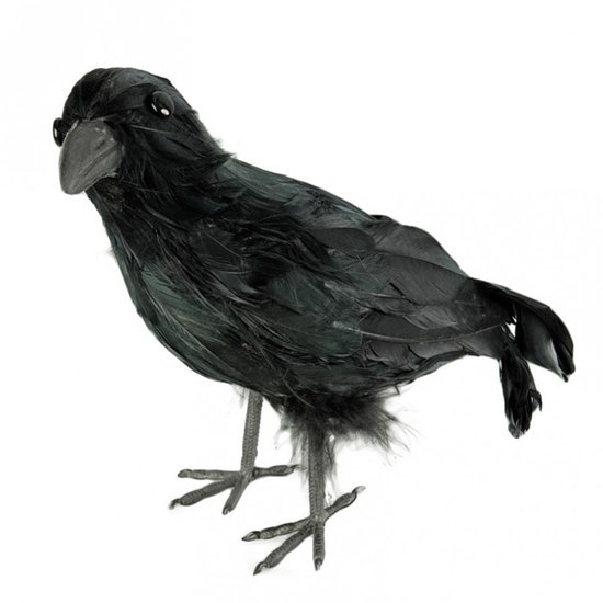 Horror/Halloween raaf/kraai vogel - zwart - 32 cm - Halloween/horror decoratie/versiering - Enge vogel decoratie