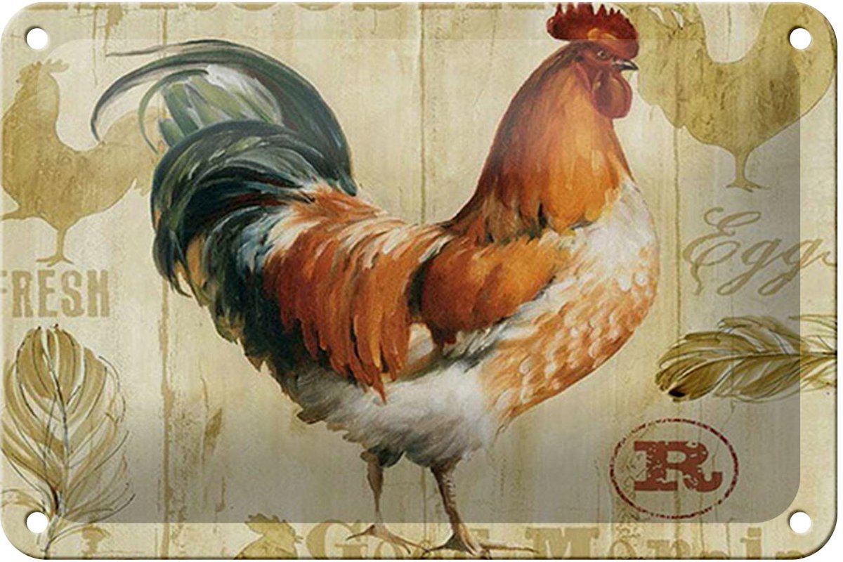Blechschild Spruch 18x12cm Huhn Hühner Eggs frische Eier