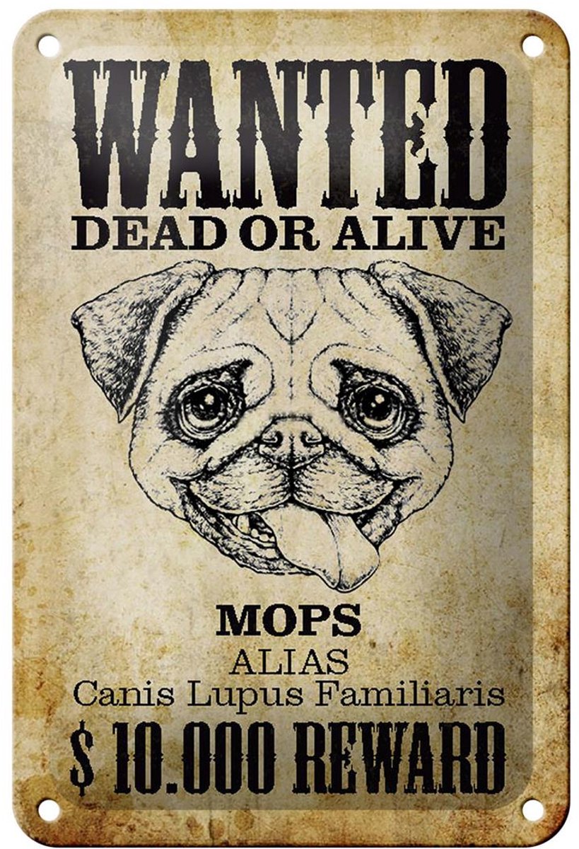 Blechschild Hund 12x18cm wanted dead Mops Alias Schild
