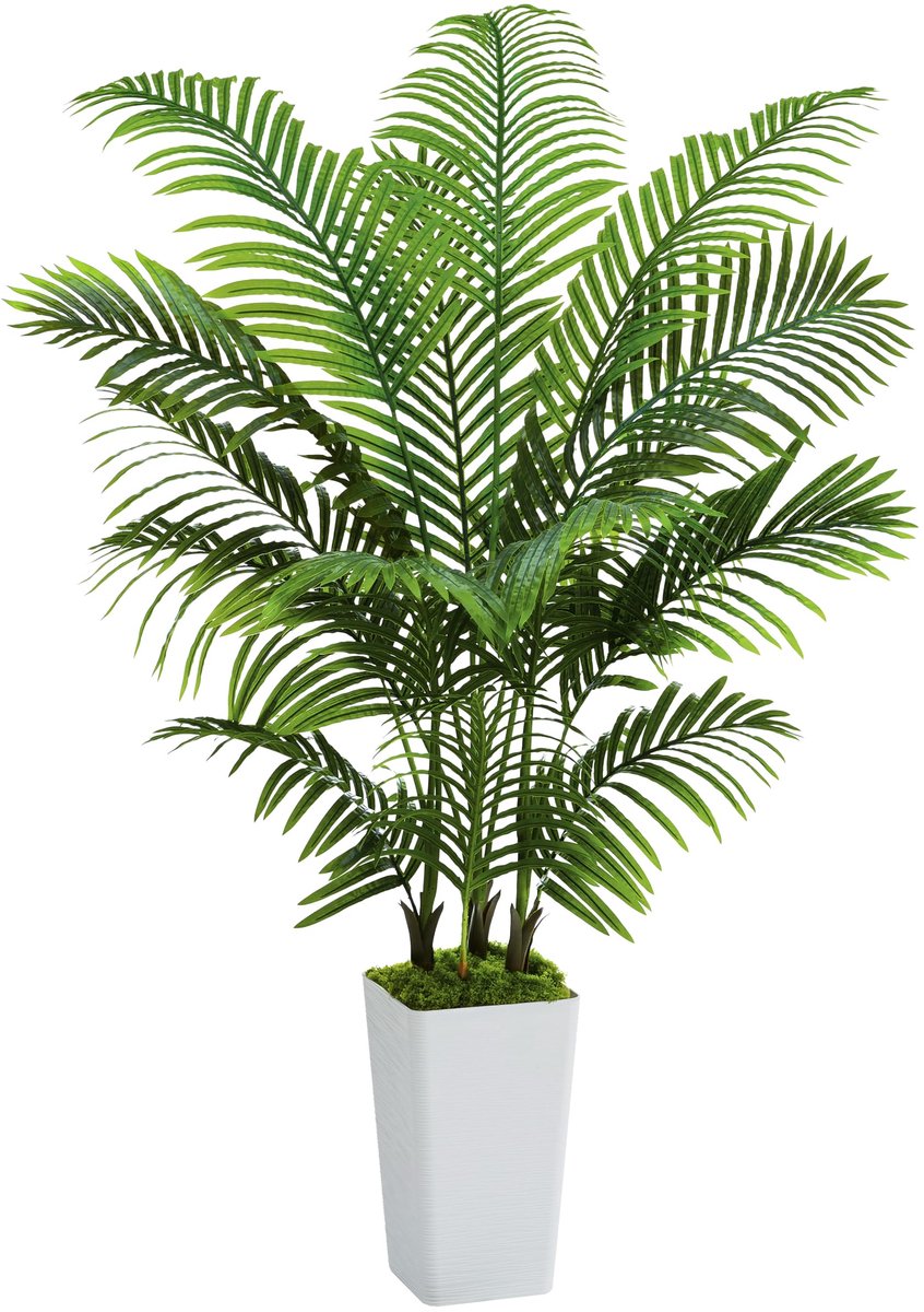 Unyqoos Levensechte kunstpalm van 150 cm voor binnen en buiten decoratie Wit