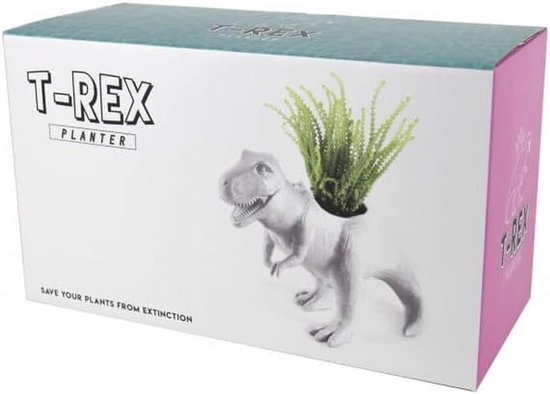 DIY-idee : miniterrarium voor cactussen en vetplanten