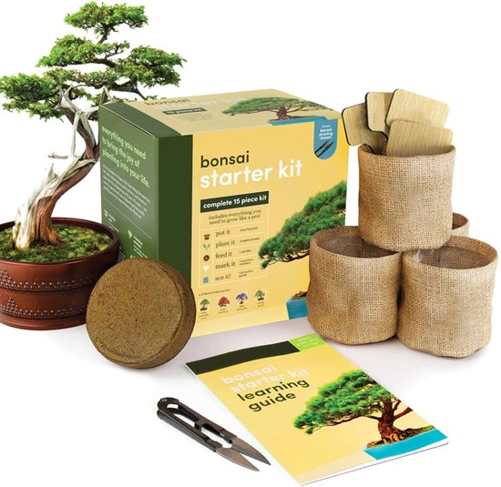 GOODTS - Bonsai Starters Kit met Uitgebreide Instructies – Bonsai Zaden Kit – Binnen Boompje Kweken – Kamerplanten – Kweekset Cadeau – Geschenkset