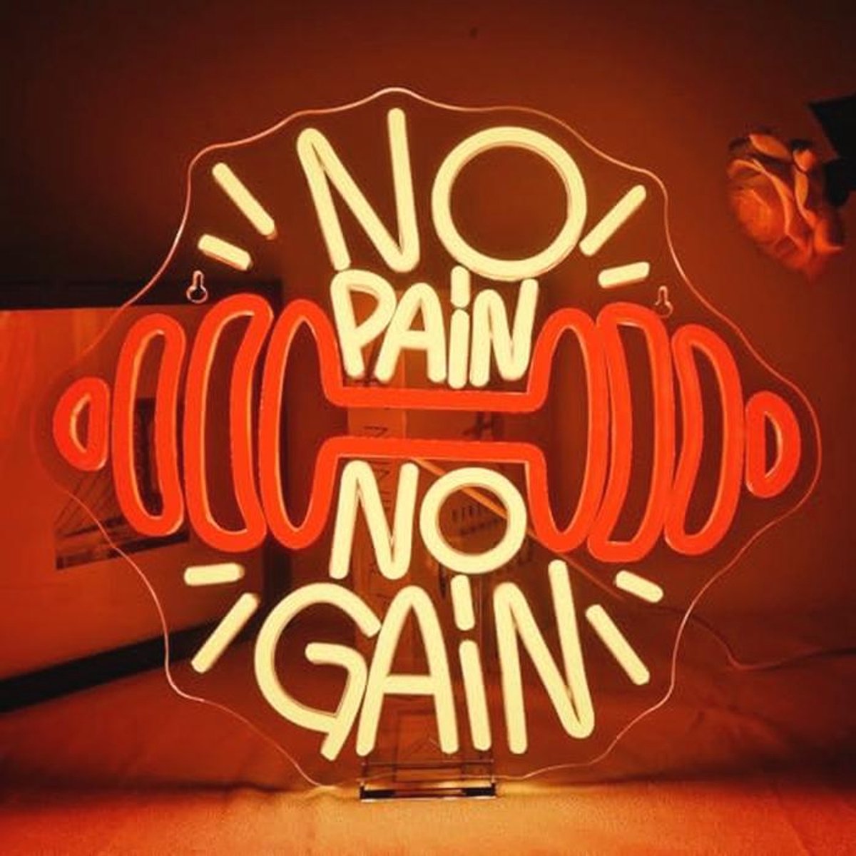 No Pain No Gain Gym Neon Bord - Dimbaar LED Licht voor Fitnessstudio