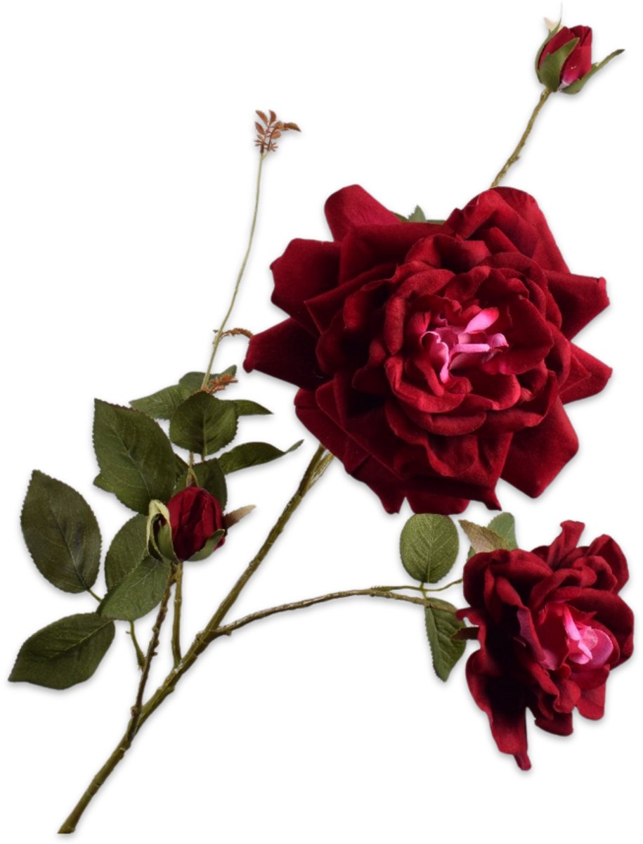 Silk-ka Roos tak burgundy 102 cm Bordeaux