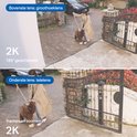 Illustratie van een Tapo camera met dubbele lens die een persoon met hond volgt bij een hek.