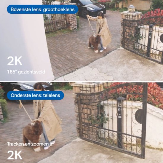 Illustratie van een Tapo camera met dubbele lens die een persoon met hond volgt bij een hek.
