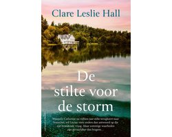 Omslag van De stilte voor de storm