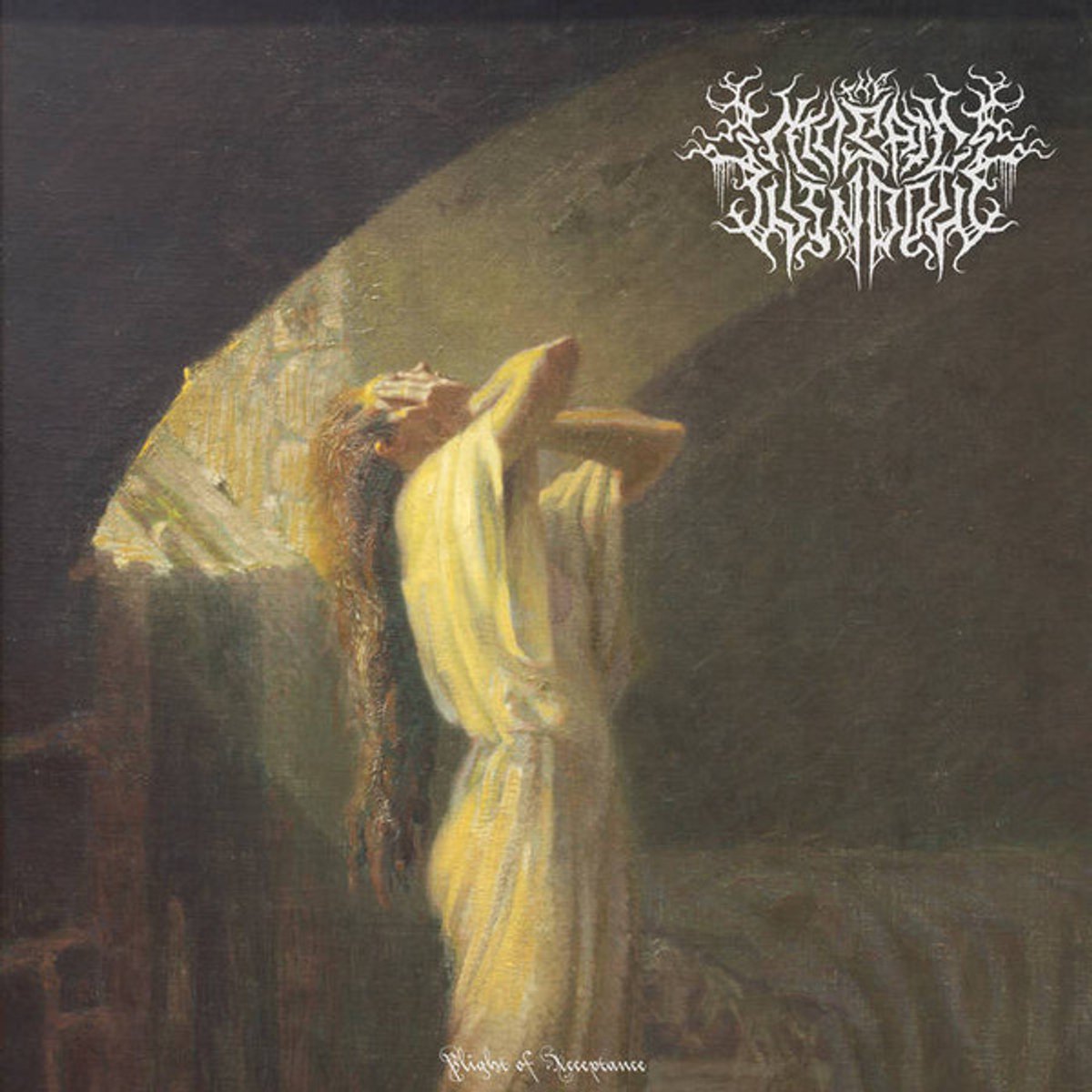 The Mosaic Window – Plight of Acceptance (CD)