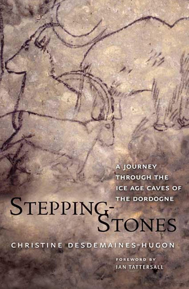 Omslag van Stepping-Stones