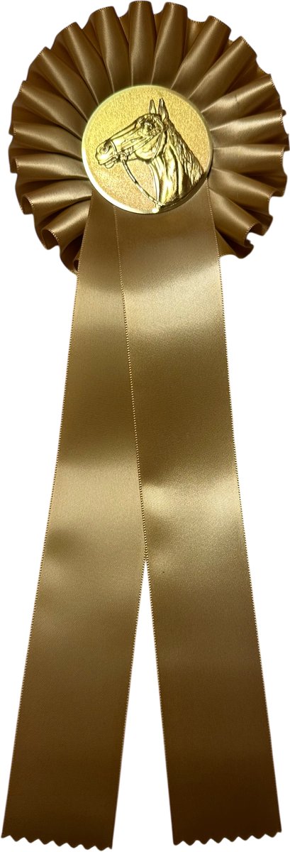 Paardenrozet - Goud - sportprijs - rozet