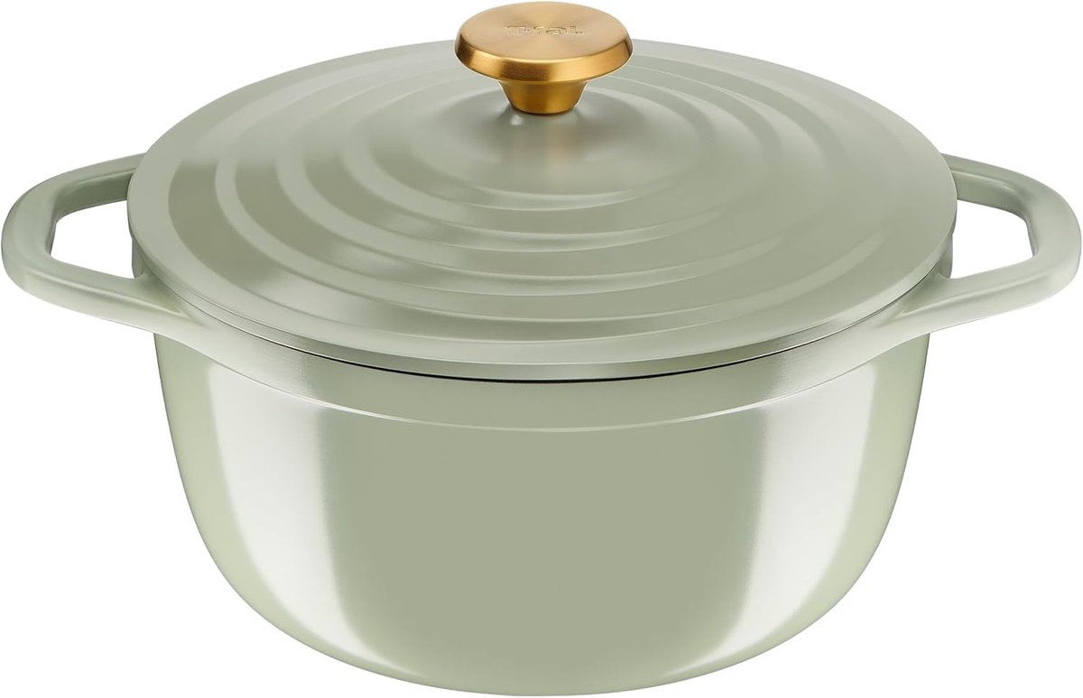 Tefal 24 cm gegoten aluminium braadpan, 4-5 personen, inductie, Air Soft Light kleur: Lichtgroen