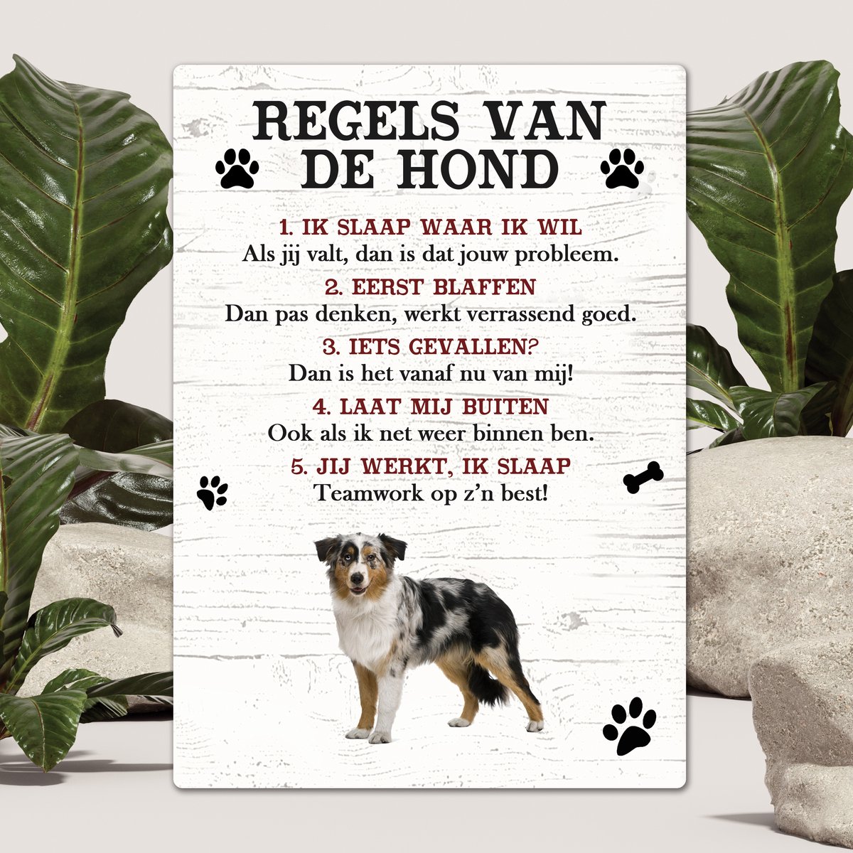 Spreuken - Bordercollie Tricolor - Regels Van De Hond - Spreuken Bordjes - Spreukenbord - Tekstborden - Cadeau - Hondenras