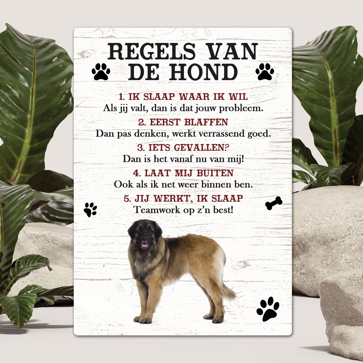 Spreuken - Leonberger - Regels Van De Hond - Spreuken Bordjes - Spreukenbord - Tekstborden - Cadeau - Hondenras