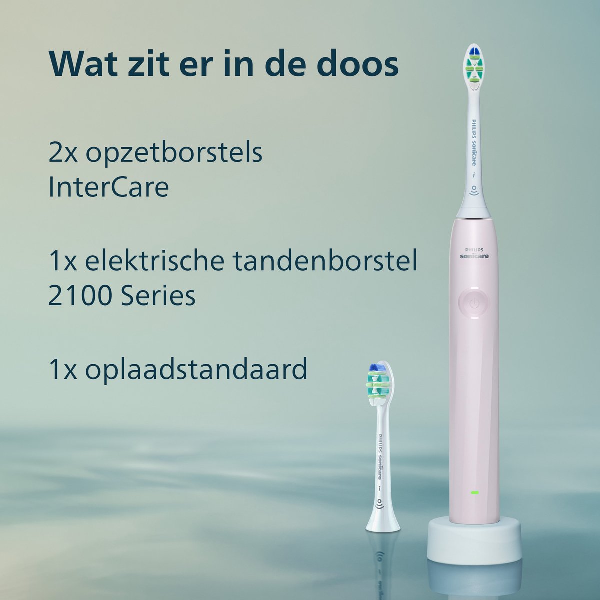 Philips Sonicare 2100 Elektrische Tandenborstel Roze met 2 - afbeelding 2