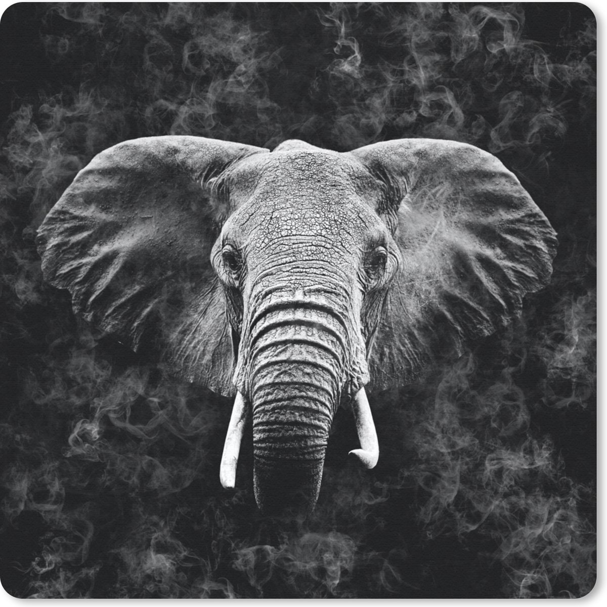 Muismat 30x30 cm - Mousepad Olifant - Dieren - Rook - Zwart - Wit - Muismatten
