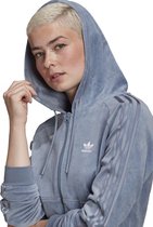 adidas Originals Crop Fz Hood Sweatshirt Vrouwen Blauwe DE38/FR40