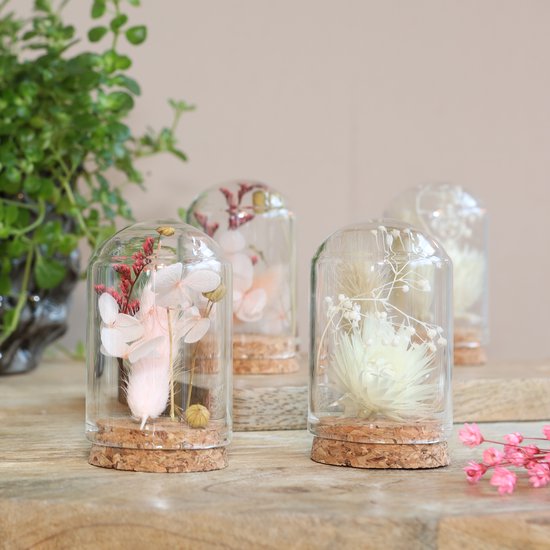 Bouquet de fleurs Fleurs séchées Comforder dans un Mini vase - Set de 4 Fleurs séchées avec Glas