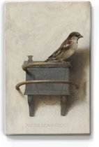 Huismus - Handgelakt - 19,5 x 30 cm - Niet van echt te onderscheiden schilderijtje op hout - Mooier dan een print op canvas - Laqueprint.