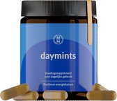 Daymints - 40 Capsules - Extra Energie - Anti Stress & Vermoeidheid - Mentaal in Balans - Optimaal Geheugen - Kurkuma - 5-HTP - Rhodiola - Bacopa - Vitamine B5 B6 & B12 - Rustgeven