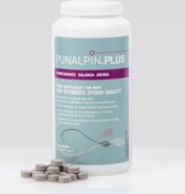 Punalpin PLUS (90 dagen) - Betere Sperma Kwaliteit en Betere Vruchtbaarheid Man - Zink - Selenium