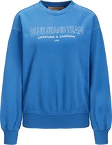 JJXX JXBEATRICE LS LOOSE VINT SWEAT NOOS Dames Trui - Maat S