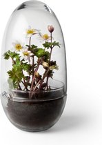 Design House Stockholm - Grow Greenhouse Medium