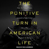 The Punitive Turn in American Life Lib/E: How the United States Learned to Fight Crime Like a War