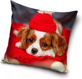 Hond, Puppy met een Rode Mutsje Sierkussens - Kussen - 40 x 40 inclusief vulling - Kussen van Polyester - KledingDroom®