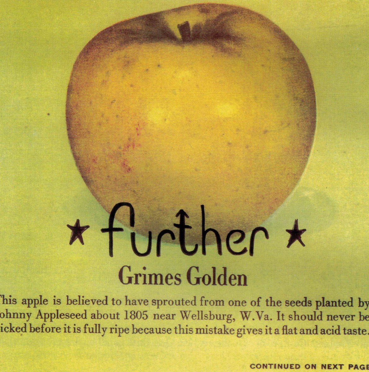 Grimes Golden