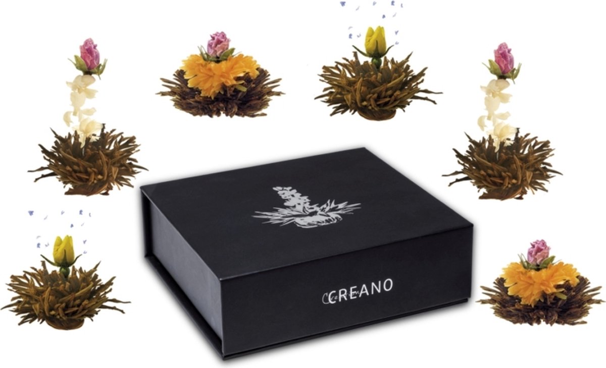 Theebloemen set in cadeauverpakking - Creano - Zwarte thee - 6 stuks professionele theebloemen