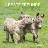 Beste Freunde 2022 30x30