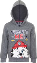 Paw patrol - trui - Marshall - Grijs - Maat 98 - jongens kleding